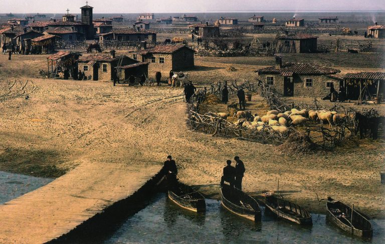 The Weeping Meadow