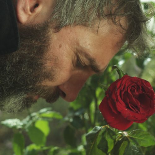 lovestruck-186400