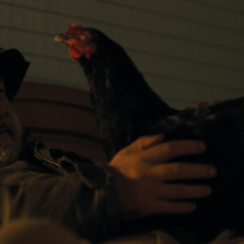 hen-film-still-by-DOP-Giorgos-Karvelas-3